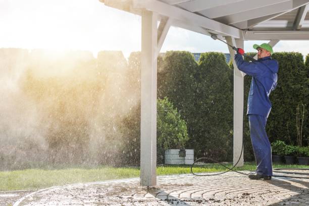 Best Driveway Pressure Washing  in Lonaconing, MD