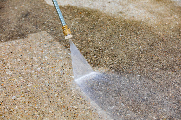 Best Dumpster Area Cleaning  in Lonaconing, MD
